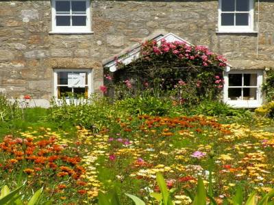 jardin