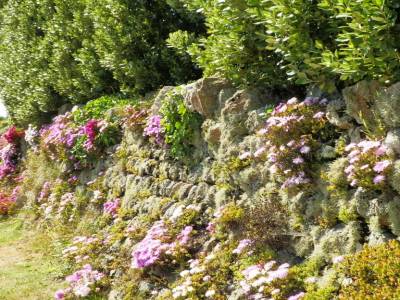 Des fleurs, des fleurs, encore des fleurs