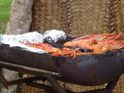 Ile des pins - la langouste grillée