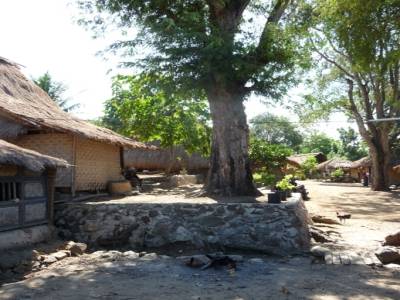 village sasak