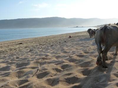 plage de Kuta