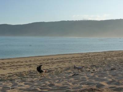 plage de Kuta