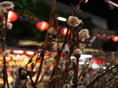 Au marché de Chinatown