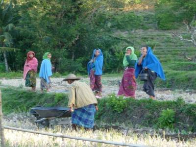 vie sud Lombok