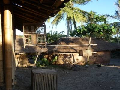 ferme sud Lombok
