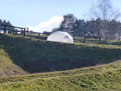 Roturoa - Zorb