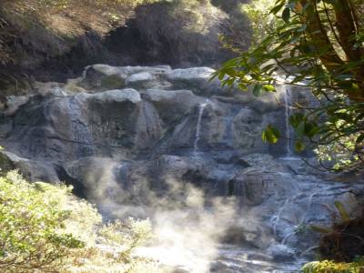 Roturoa - Cascade d'eau chaude à Hell's Gate