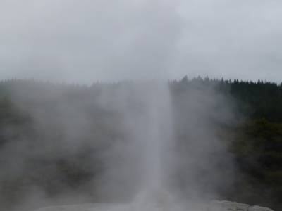 Wai o tapu - Geyser Lady Knox en activité