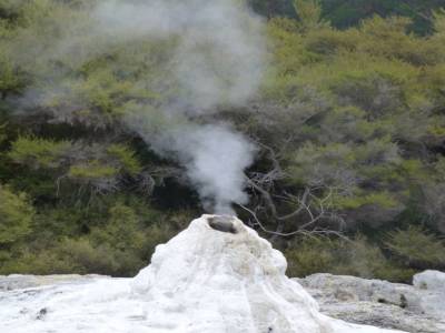 Wai o tapu - Geyser Lady Knox au repos 