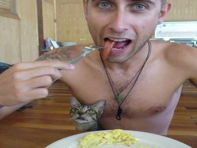 Le petit chat qui convoitait le déjeuner de Jay