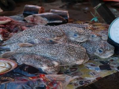 Night Market