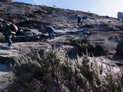 Descente