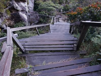 Descente