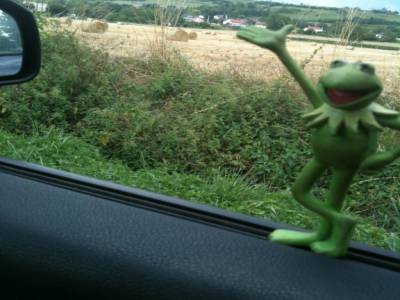 Burnée sur la route