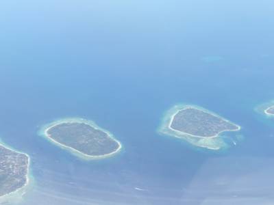 Gilis