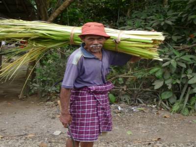 paysan de Tetebatu