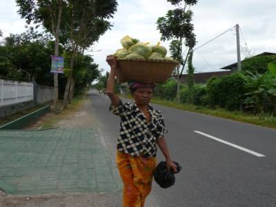 sur la route de Tetebatu