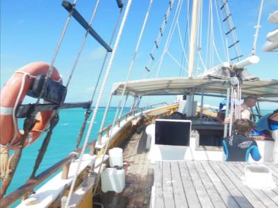 Plongée dans la Grande Barrière de Corail