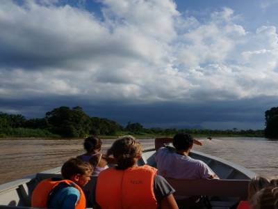 Balade sur la rivière Kinabatangan