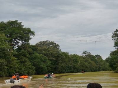Pont suspendu pour que les singes puissent traverser la rivière
