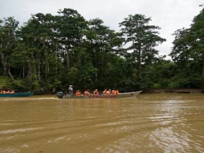Rivière Kinabatangan