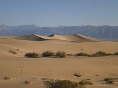 Mesquite Flat Sand Dunes