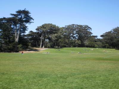 Golden Gate Park