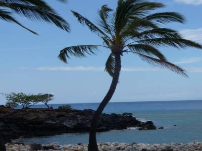 plage Big Island
