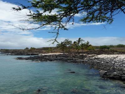 plage Big Island