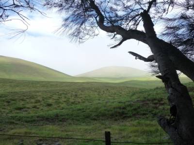paysage big island