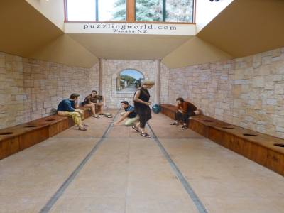 Puzzling world