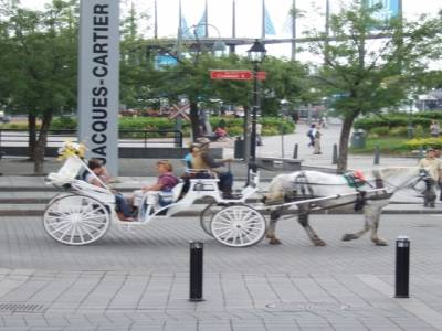 Tour en calèche