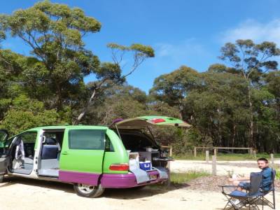 Otway forest