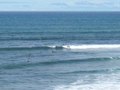 Surf en Torquay