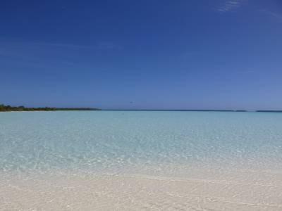 La baignade à Tetiaroa
