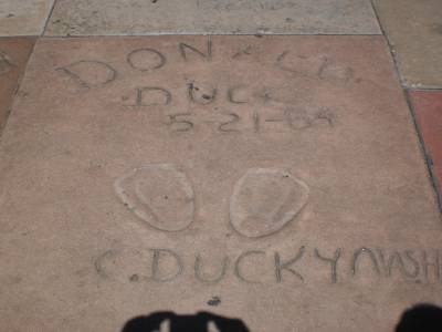 Donald duck