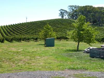 Kings Valley