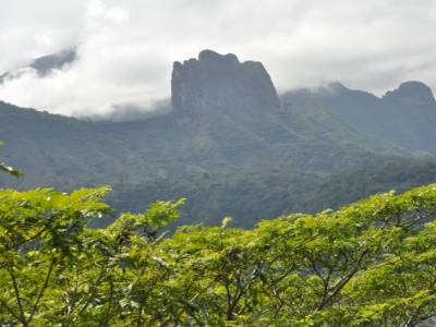 Le diadème de Tahiti