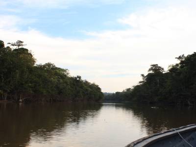 La rivière Kinabatangan est la plus longue de Sabah couvrant une longueur totale de 560km.