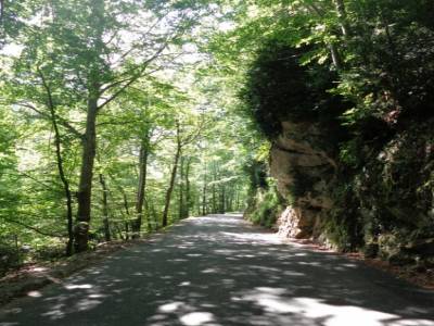 belle route ombragée vers Leoncel