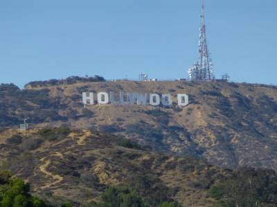 THE HOLLYWOOD