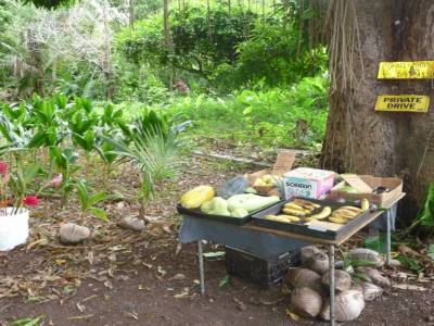 vente libre de fleurs et fruits