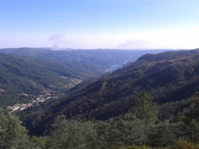 Miraduro