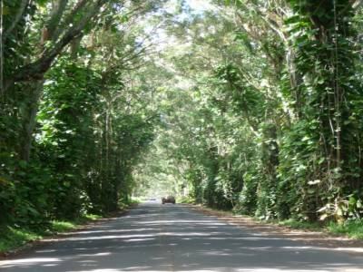 route de Kauai