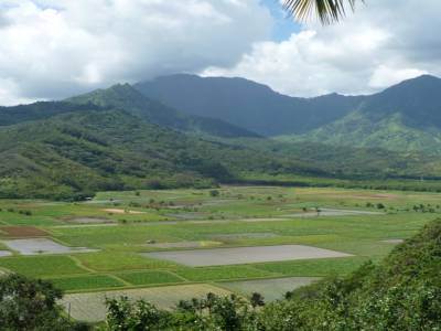 paysage de Kauai