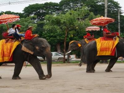 Balade en éléphants