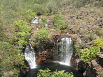 Florence falls