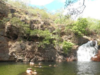 Florence falls