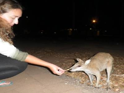 Magali donne a manger au wallabie