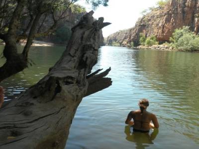 Tarzan est sur son arbre et Jane est dans l'eau